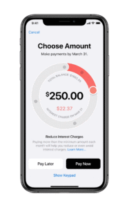 Apple Card - Interest estimator